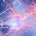 Jornada Virtual: «Día Mundial del Alzheimer 2026. Terapias y cuidados: avances, costes y límites»